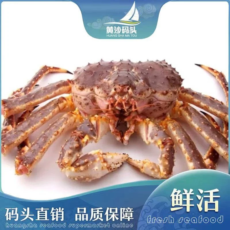 【鲜活】阿拉斯加帝王蟹 约1.5kg-1.75kg/只(包活)