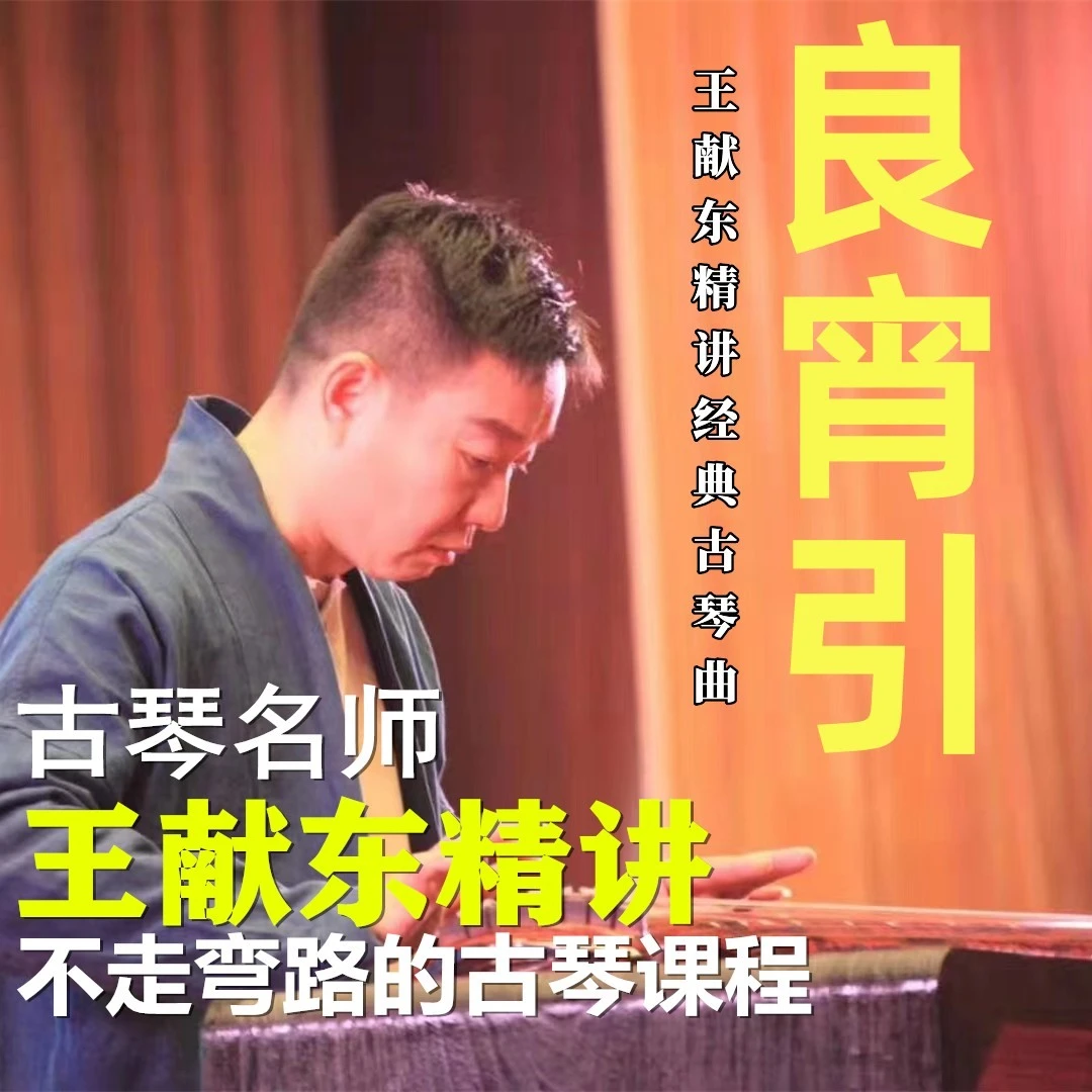 古琴经典名曲《良宵引》名师王献东精讲演奏教程古琴基础课