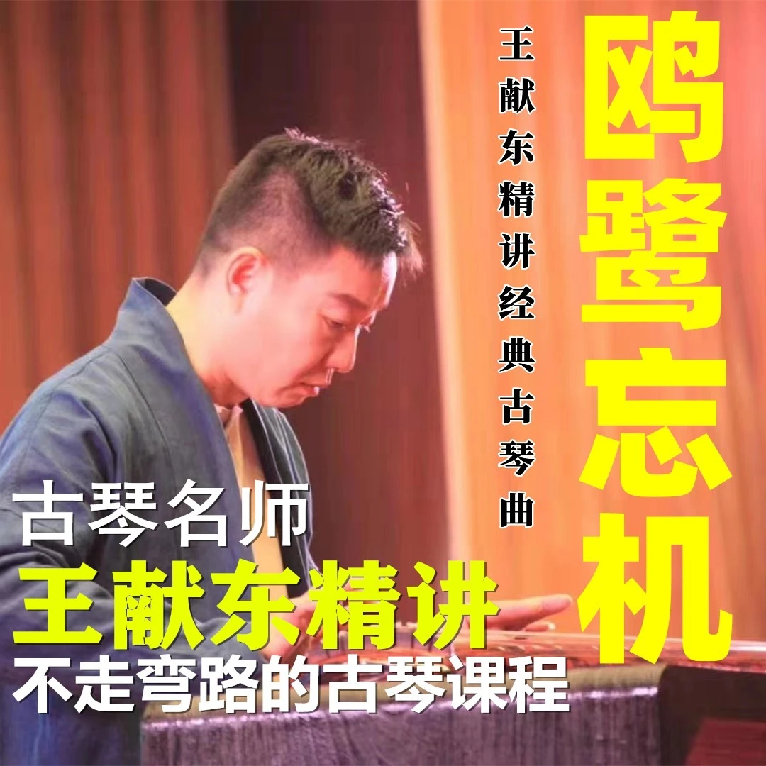 古琴经典名曲《鸥鹭忘机》精讲教学名师王献东讲解演奏