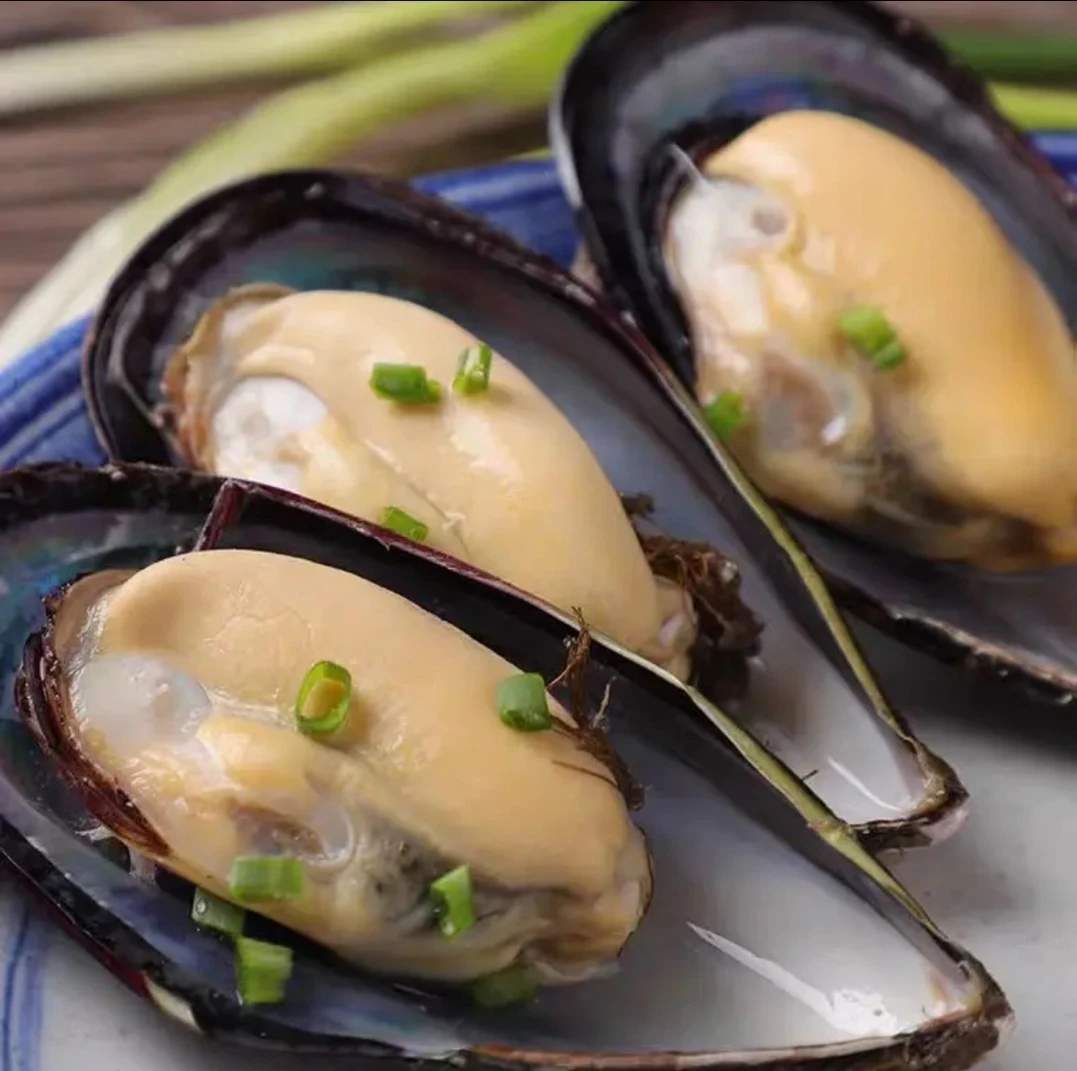 连云港 鲜活发货 青口贝 5斤