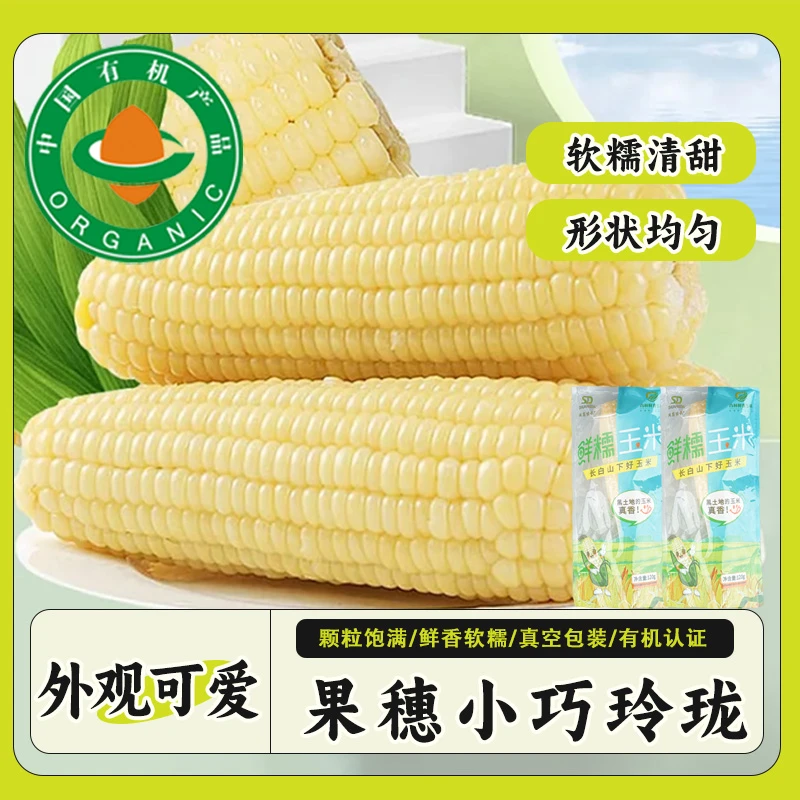 【24年新玉米】年娃娃有机鲜食玉米饱满多汁 软糯香甜