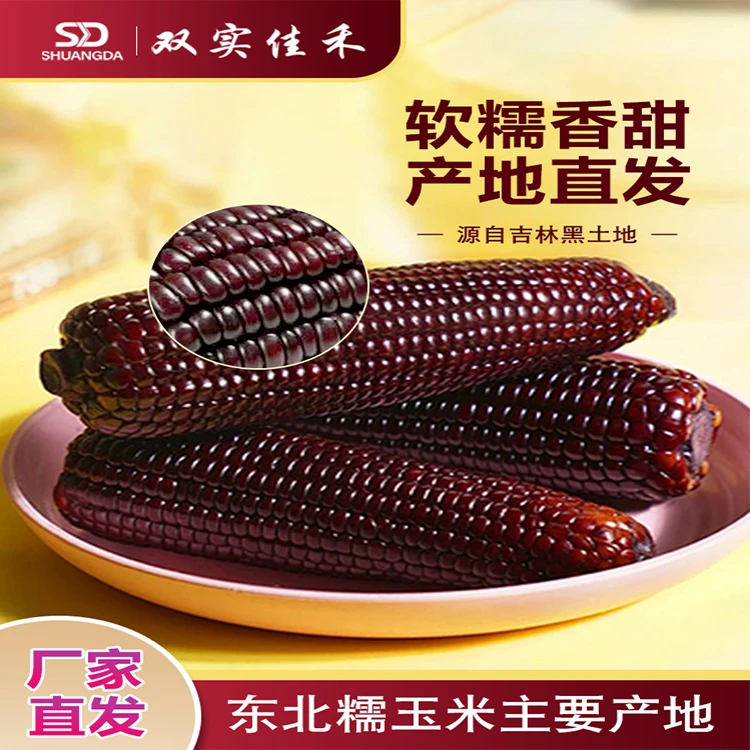 【25年头茬】黑糯玉米粗粮代餐香甜软糯真空包装新鲜