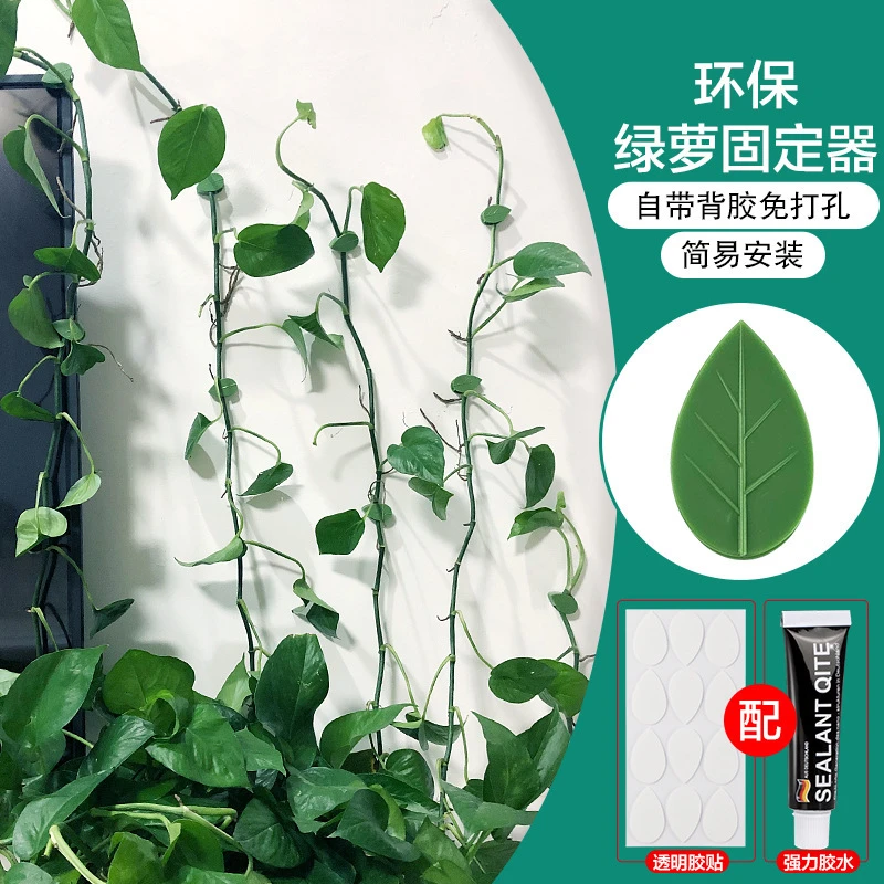 【新疆包邮】绿萝固定器家用无痕墙固定藤蔓绿植墙免钉粘式理线器