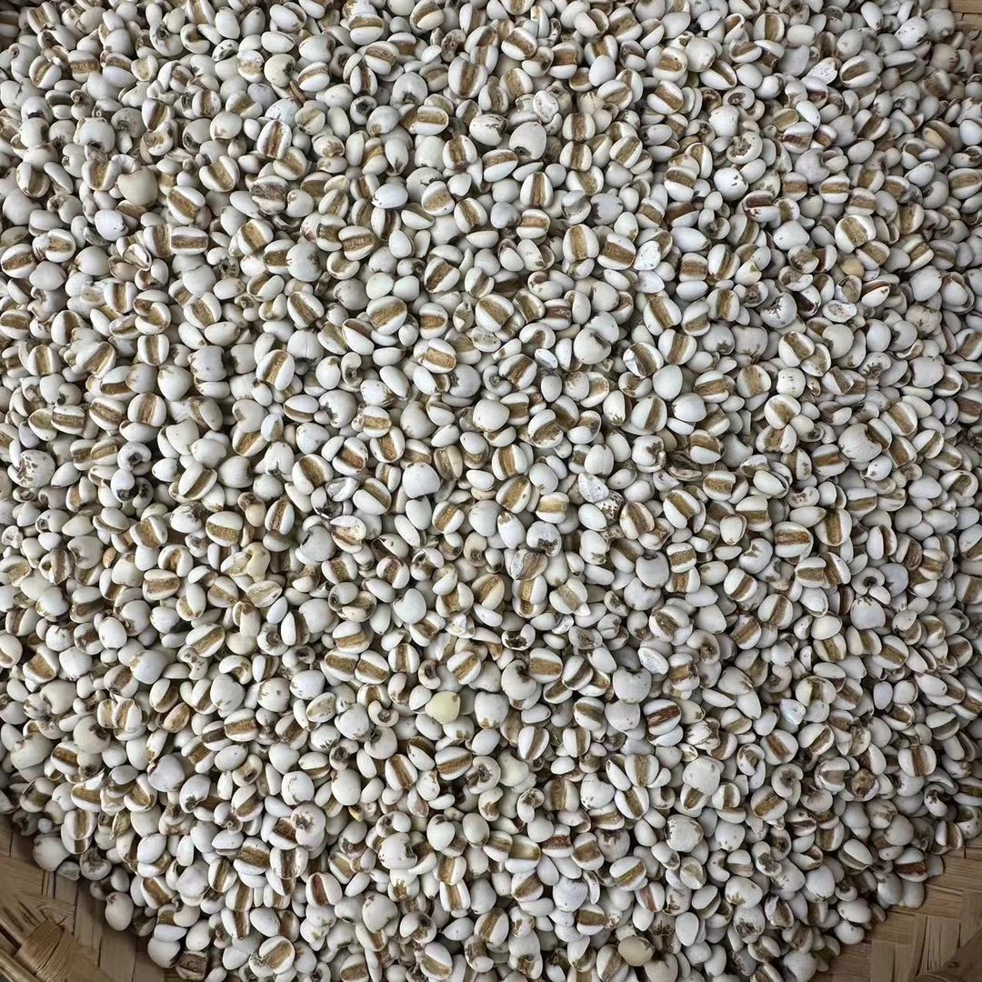 【妞妞山货】云南高山好物薏米（可搭配枸杞）