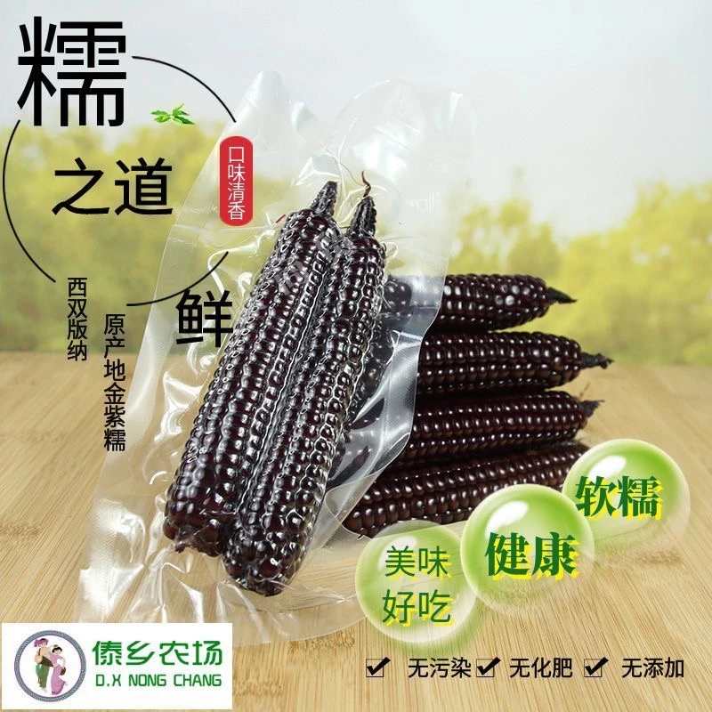 紫糯拇指玉米云南西双版纳香紫糯玉米棒新鲜非转基因即食玉米早餐