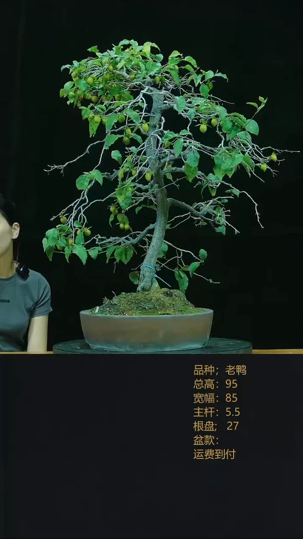 【闪购商品】2222222222222222222