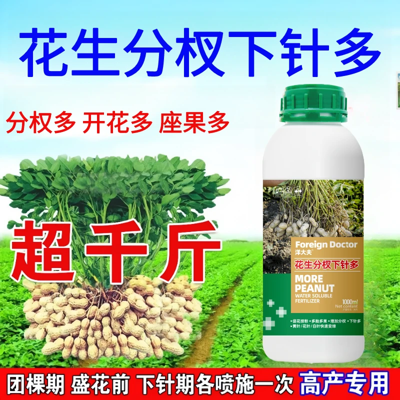 洋大夫花生分杈下针多花生专用下针多花生曾产砖用花生叶面肥