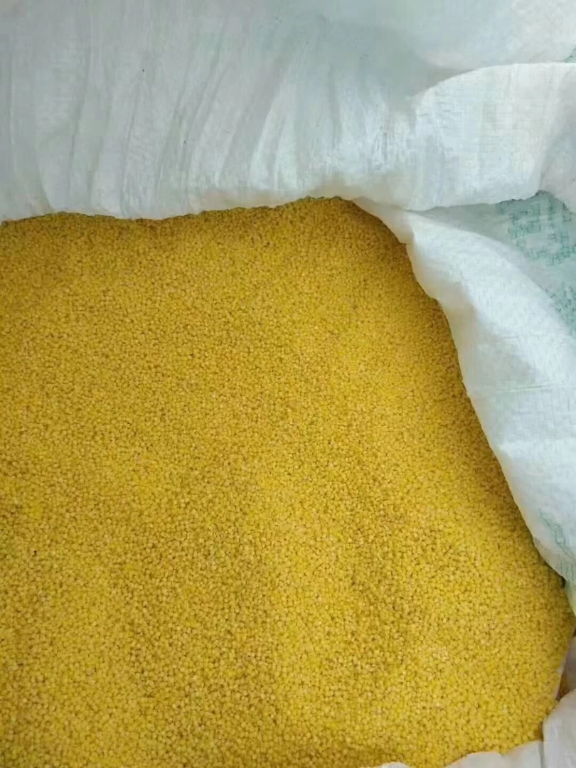 五莲新春小米月子米农家特产