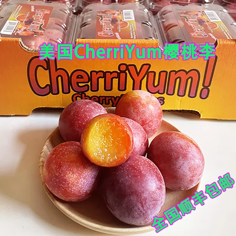 美国樱桃李进口李子现货高端新鲜孕妇水果包礼盒