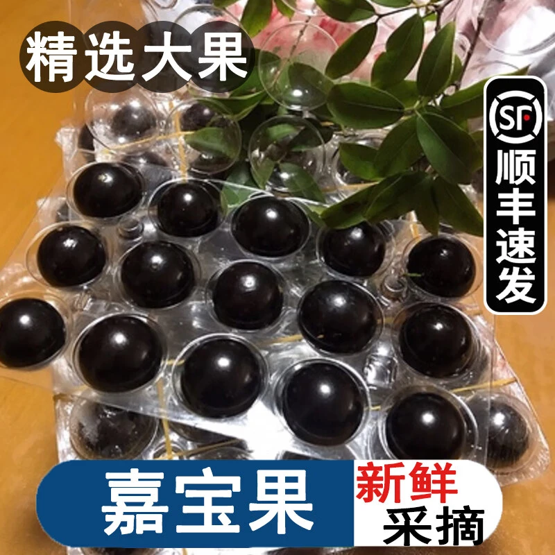 顺丰空运嘉宝果新鲜水果鲜果稀奇古怪稀有孕妇水果树葡萄营养果味