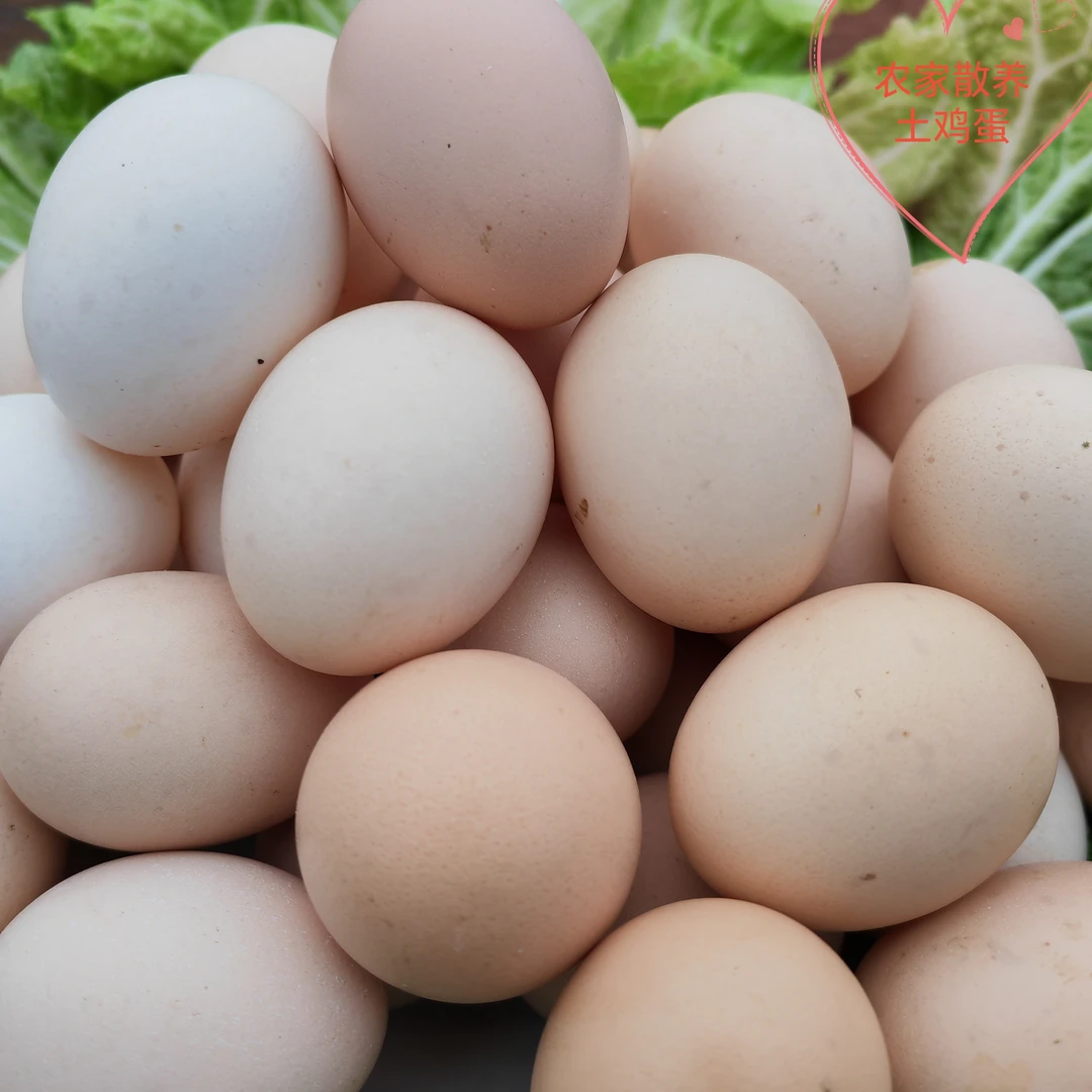 农家散养土鸡蛋 笨鸡蛋走地鸡鸡蛋 新鲜柴鸡蛋 现捡现发营养