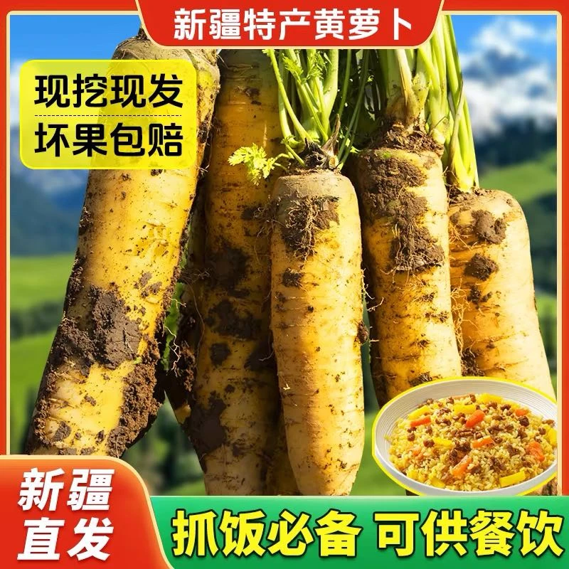 新疆正宗黄萝卜手抓饭萝卜新鲜蔬菜炖煮凉拌5斤宝宝辅食