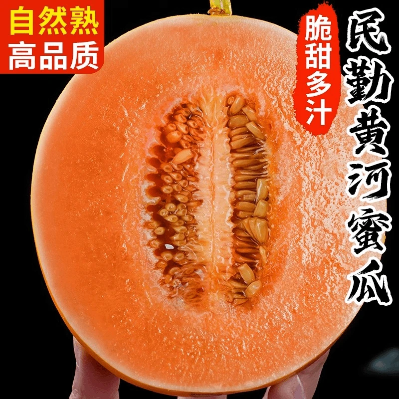 【坏果包赔】甘肃民勤大漠蜜瓜新鲜应季水果香甜可口带箱5斤2-4个