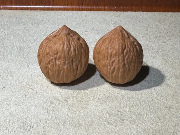 野生秋子文玩核桃小手捻直播专用