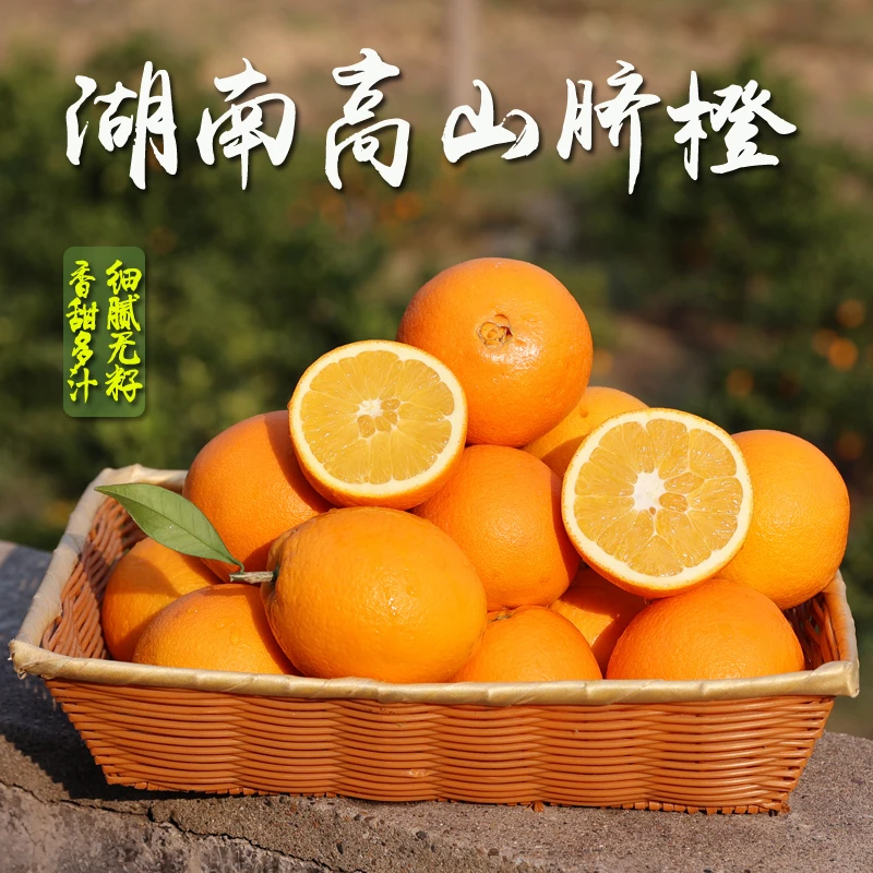 正宗 湖南溆浦纽荷尔脐橙新鲜现摘皮薄天然水果香甜细腻 坏果包赔