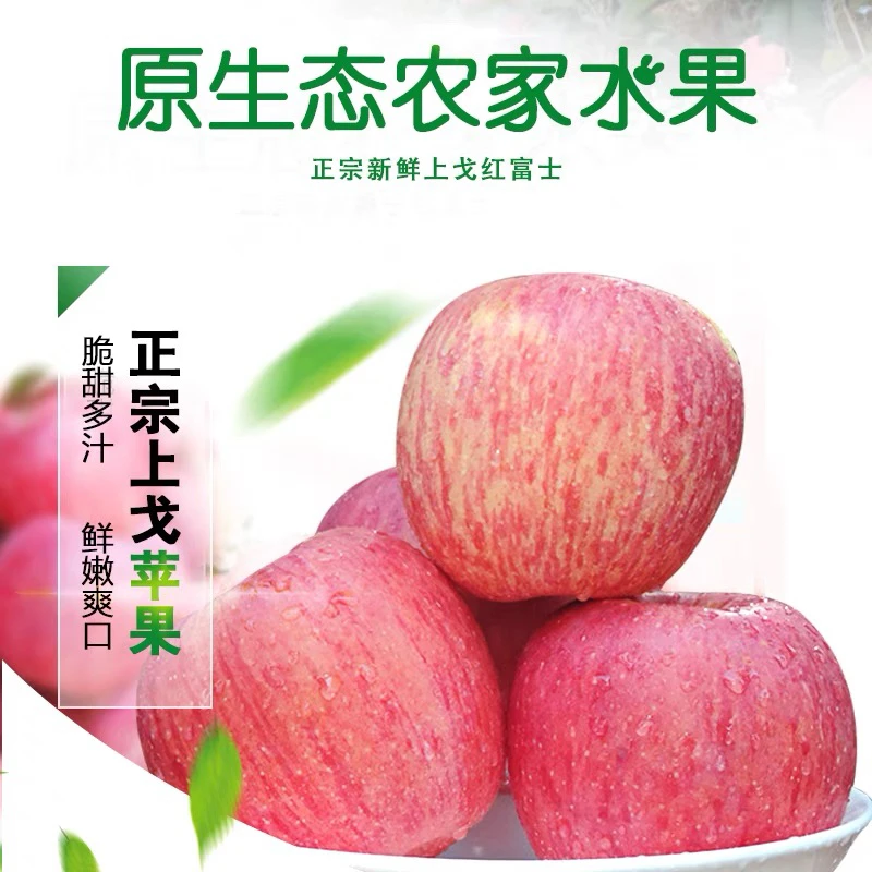 正宗洛宁上戈优质水晶红富士现摘现发苹果水果脆甜发货快递多汁