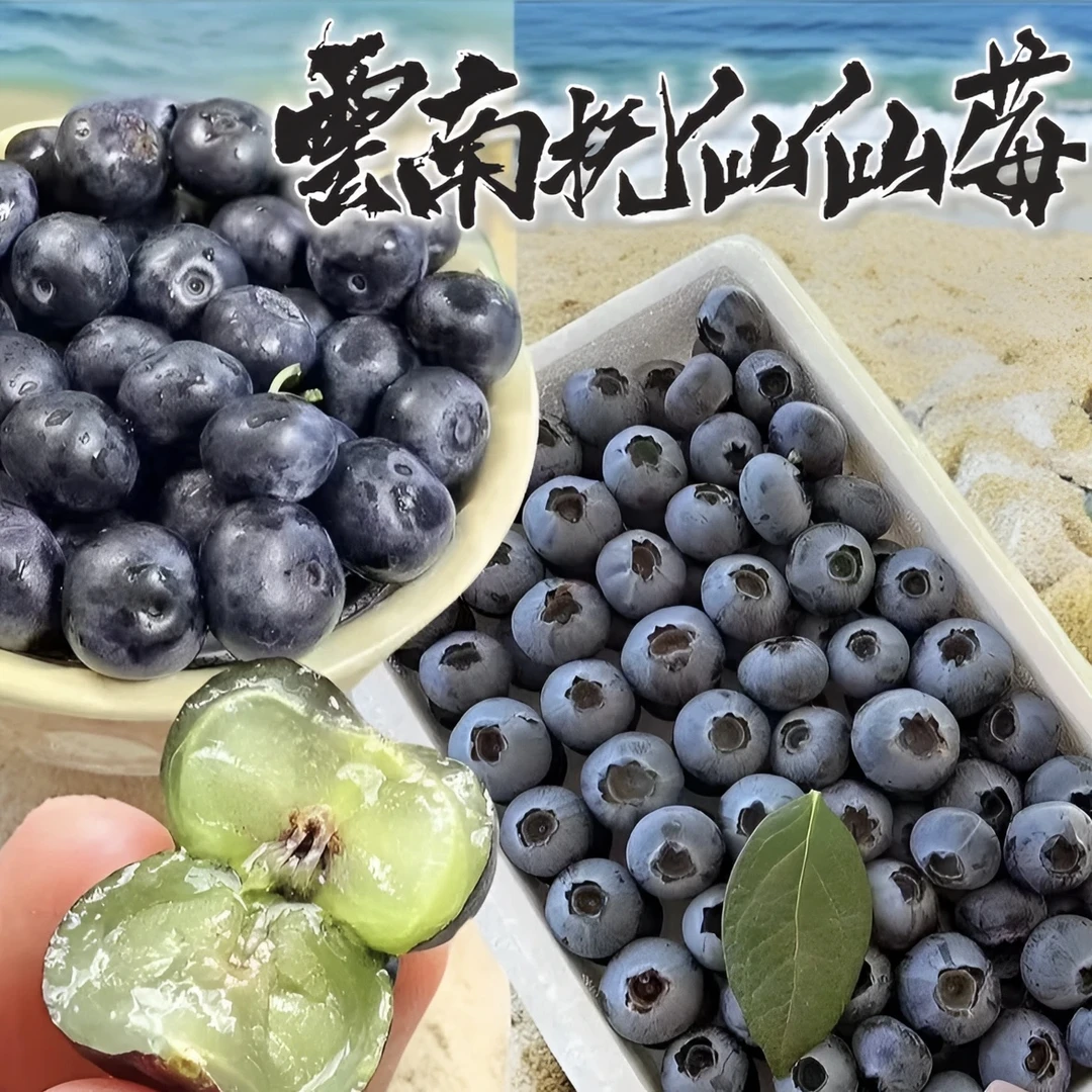 【M86霸王莓】～云南抚仙仙莓450g装 脆甜蓝莓清香 现摘新鲜原箱空运