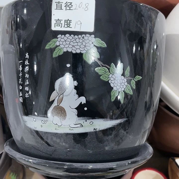红陶20CM（含）-50CM（不含）