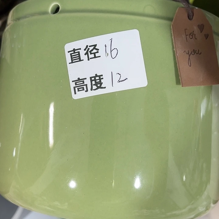 红陶20CM（含）-50CM（不含）