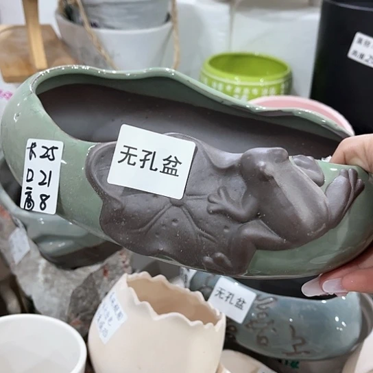 红陶20CM（含）-50CM（不含）