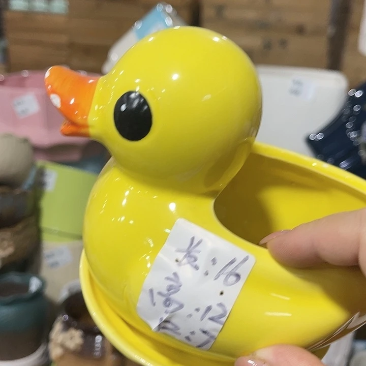 红陶20CM（含）-50CM（不含）