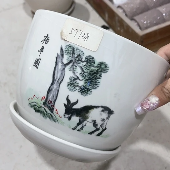 红陶20CM(含)-50CM(不含)