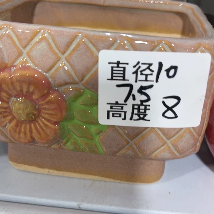 红陶20CM(含)-50CM(不含)