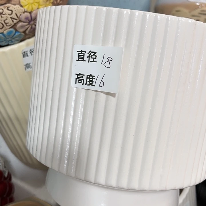 红陶20CM（含）-50CM（不含）