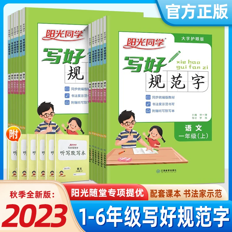 阳光同学写好规范字小学一二三四五六年级语文字词训练本人教通用