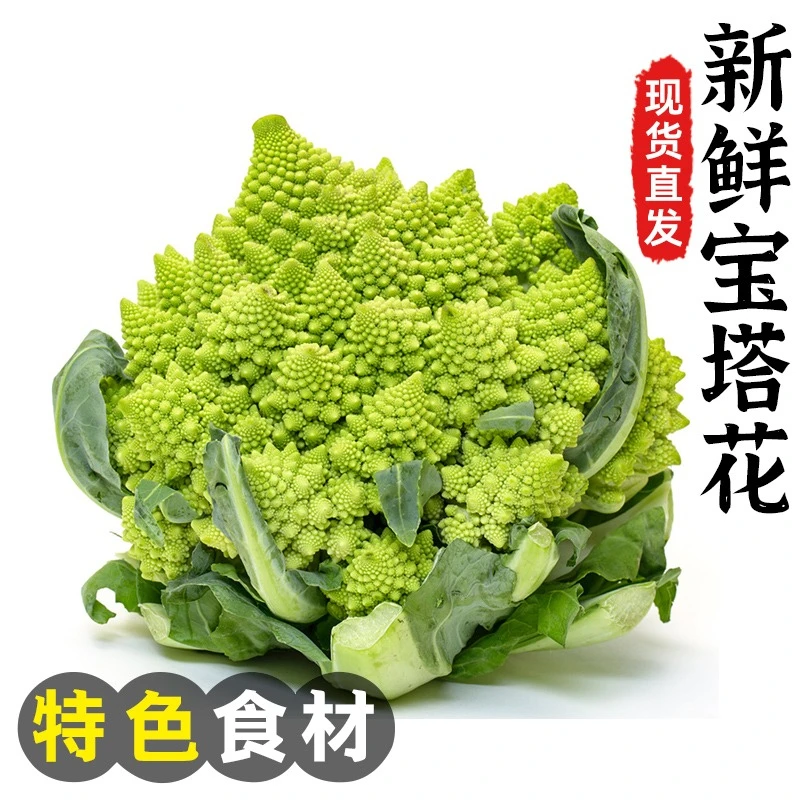 山东宝塔花菜当季新鲜蔬菜罗马花椰菜绿佛头菜西蓝花菜好吃包邮