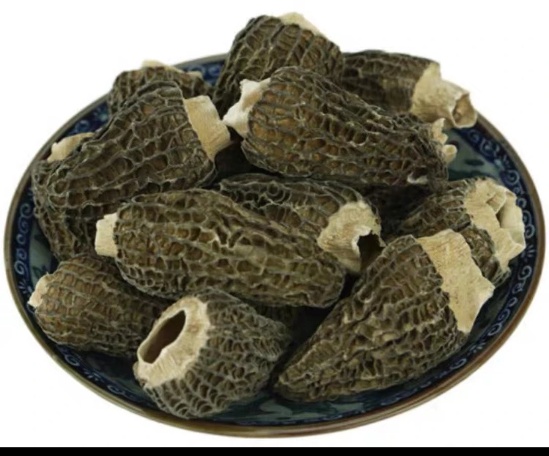 珍稀美味，天然滋补，高原羊肚菌