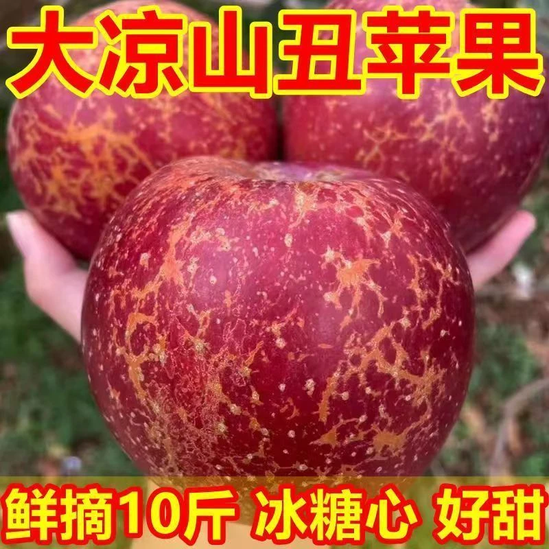【爆甜】正宗大凉山盐源丑苹果冰糖心当季新鲜红富士苹果水果整箱