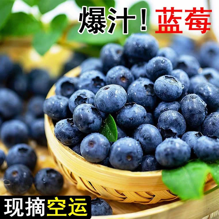 【顺丰空运】蓝莓鲜果新鲜饱满当季水果孕妇宝宝辅食大蓝莓蓝梅包
