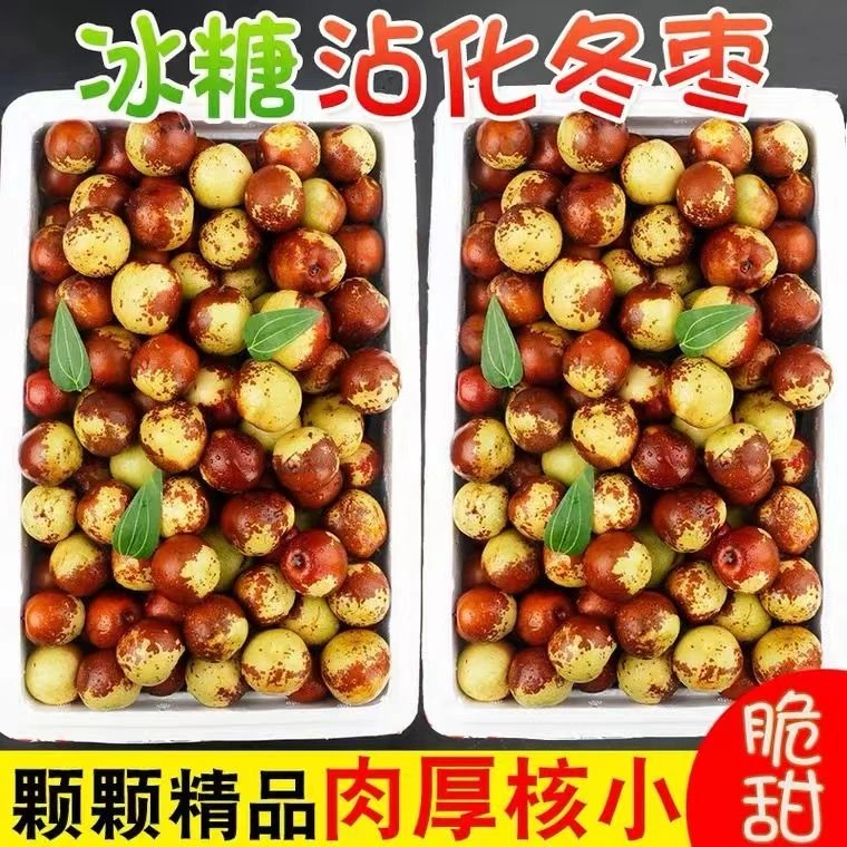 【现摘现发】山东沾化冬枣新鲜甜脆孕妇水果批发枣子青枣冰糖冬枣