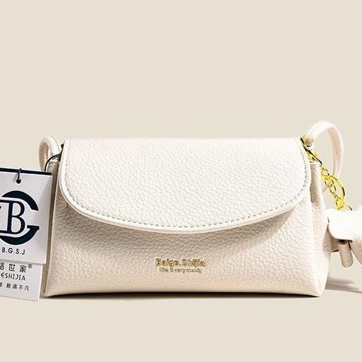 2024秋季新款简约时尚百搭高级感通勤休闲单肩斜挎包枕头包女