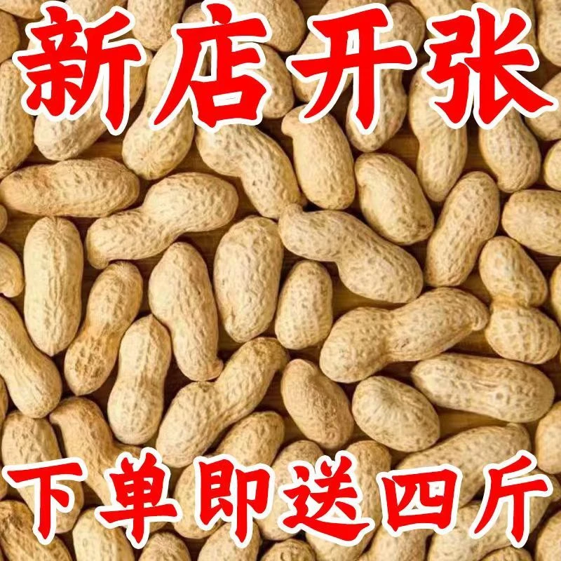 快抢！买一斤发五斤】白沙带壳干花生新货农家自种新鲜饱满粉皮花生