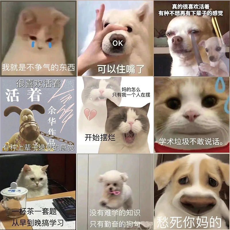 62张大学牲精神状态表情包搞笑沙雕装饰创意趣味手账贴画粘贴贴纸