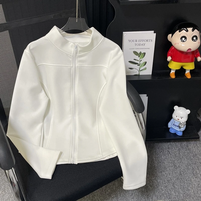 HONG JIA LIN/虹嘉琳立领运动风显瘦秋冬款休闲大码纯欲长袖上衣