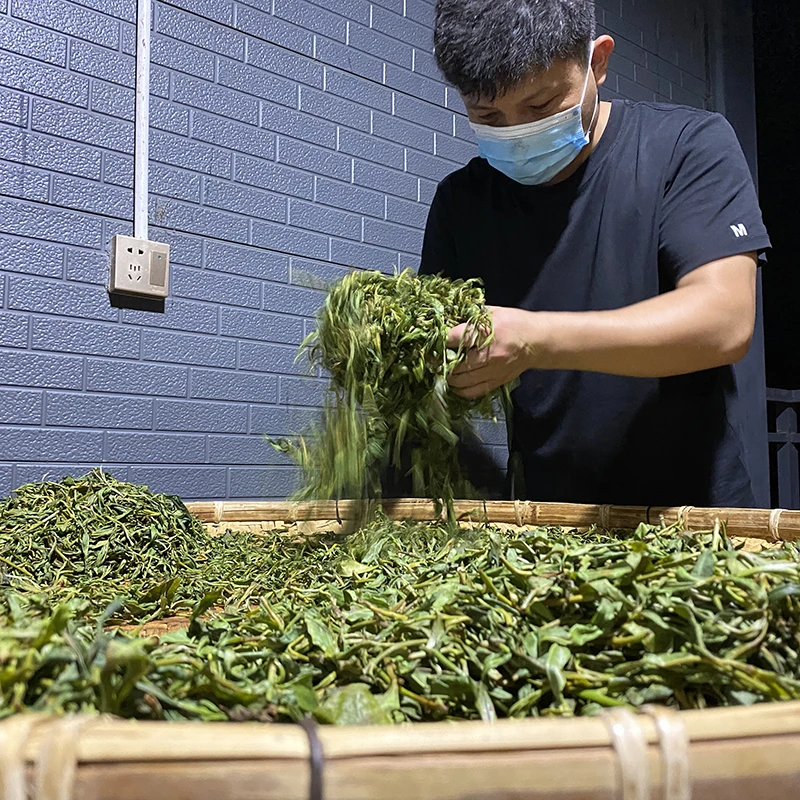 醉易武【三周年店庆】 2015年张家湾 古树普洱茶生茶 200g饼茶
