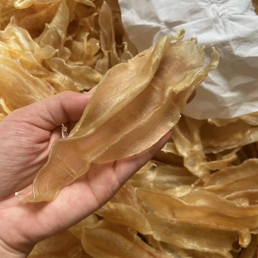 【精选】尖尾北海鱼胶