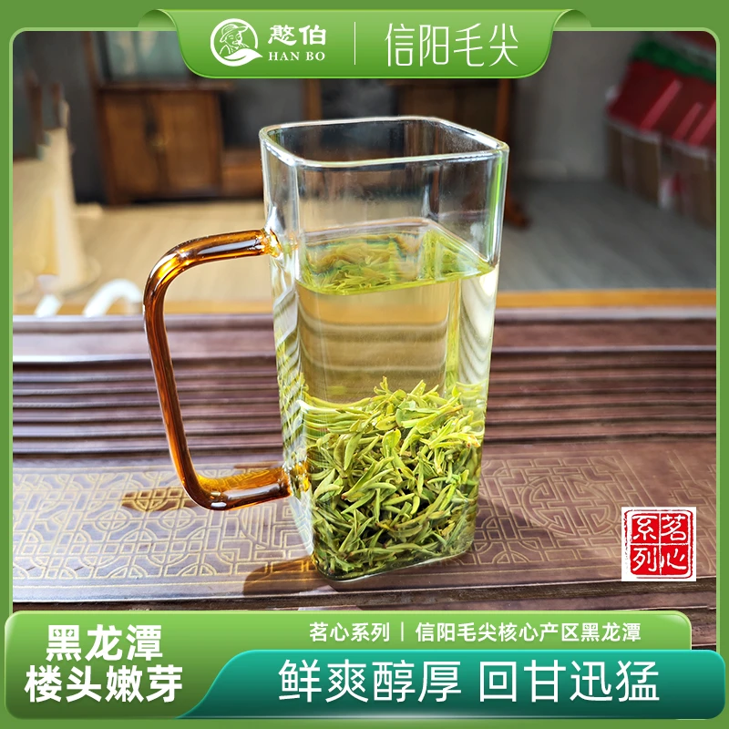 憨伯【黑龙潭】信阳毛尖茶叶2024新茶高山茶楼头头采浓香绿茶耐泡