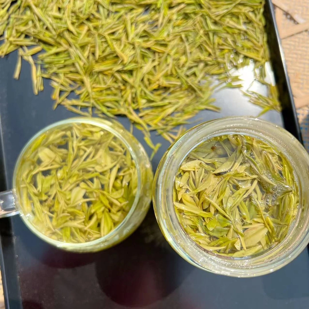 大鹅奶香豆香黄金芽2025年新茶明前奶油安吉黄金芽黄金芽春季