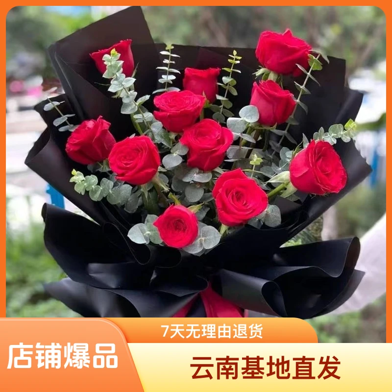 [云南基地直发]红玫瑰鲜花基地现采现发室内水养红玫瑰鲜花节日花