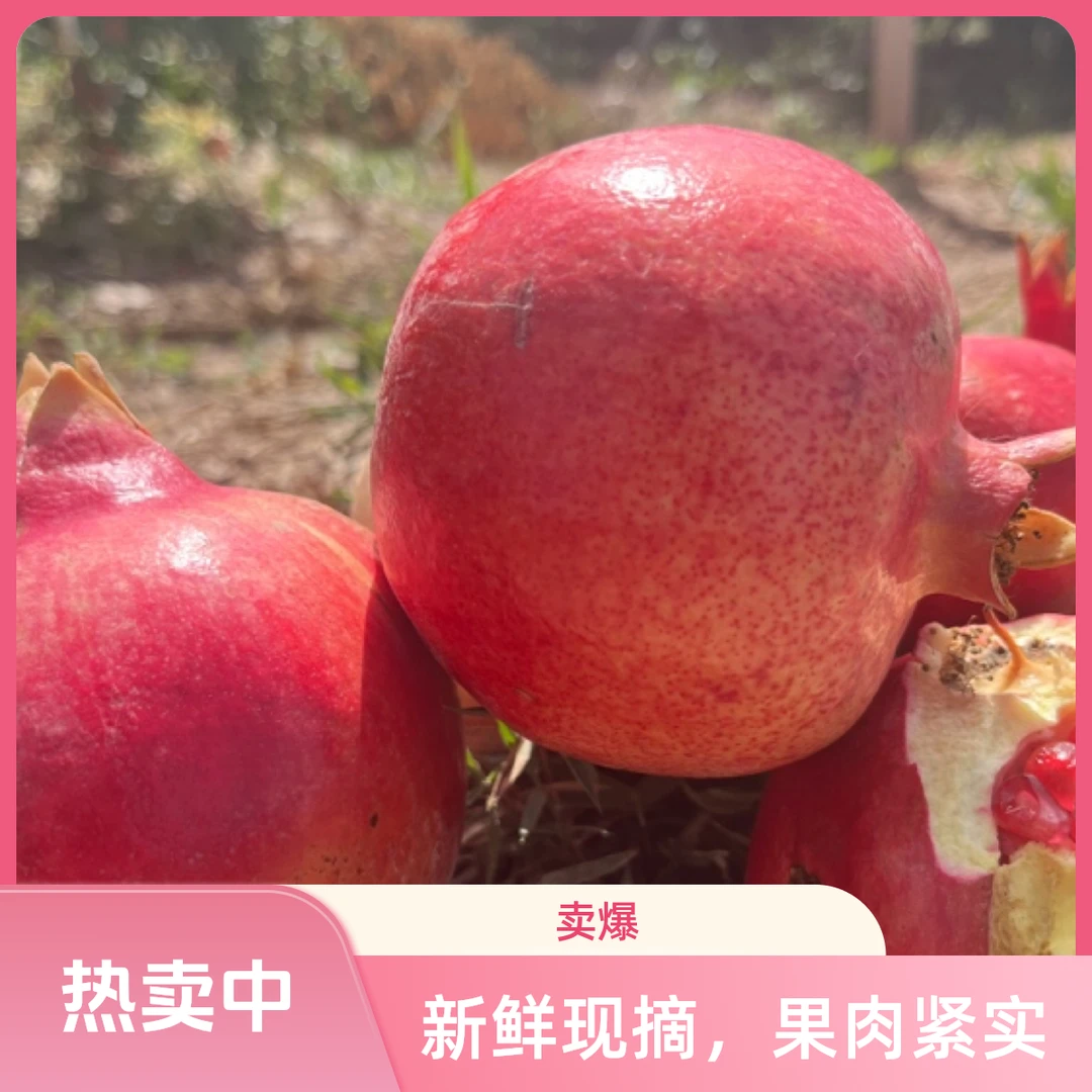 新疆喀什伽师10乡石榴顺丰包邮