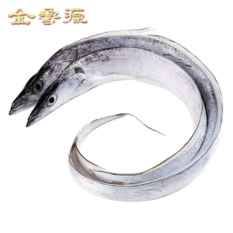 胶东带鱼 海捕整条新鲜冷冻小眼睛带鱼 肉厚鲜嫩2000g
