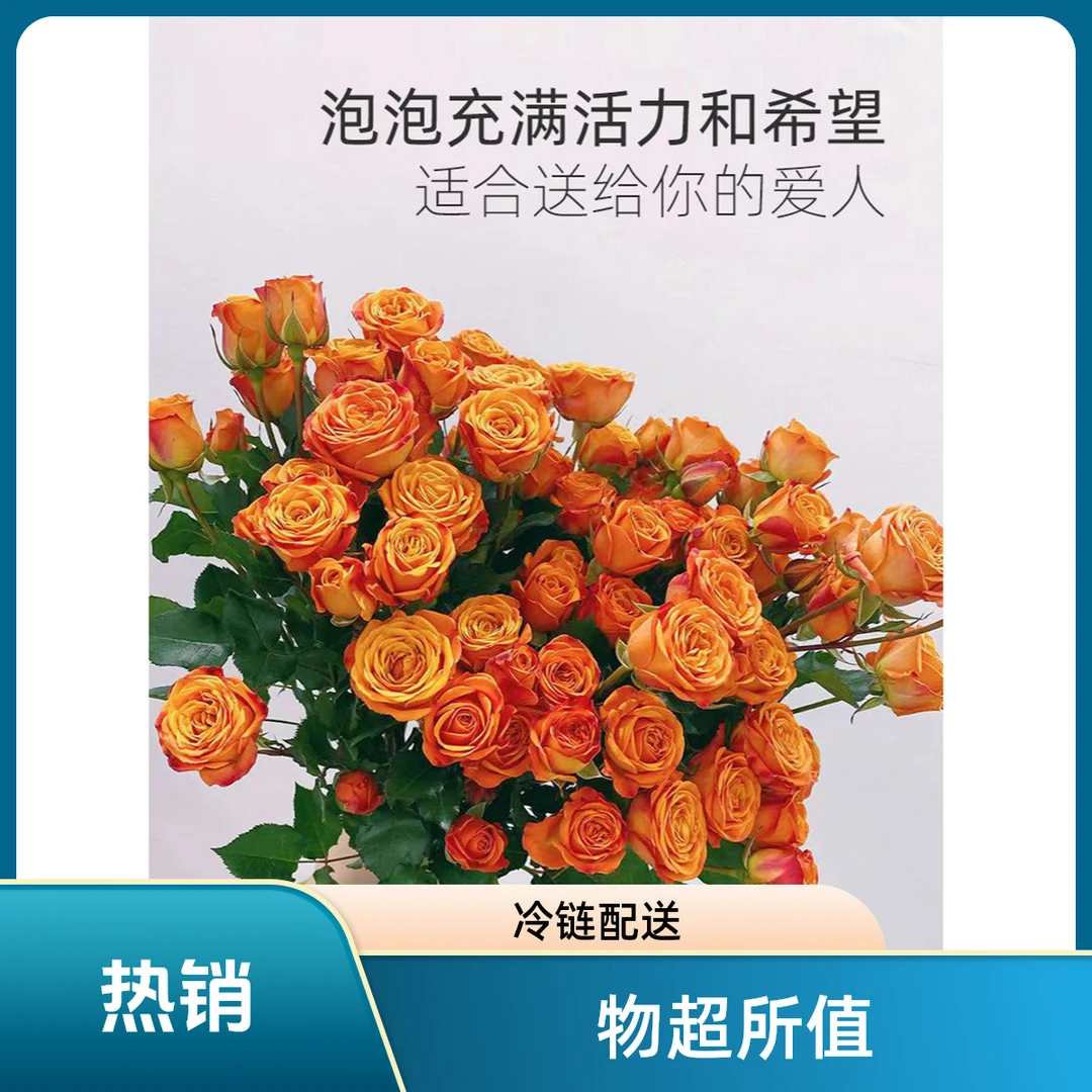 云南原产地热卖橙色芭比玫瑰花卉橙芭比玫瑰鲜花云南昆明鲜花直发