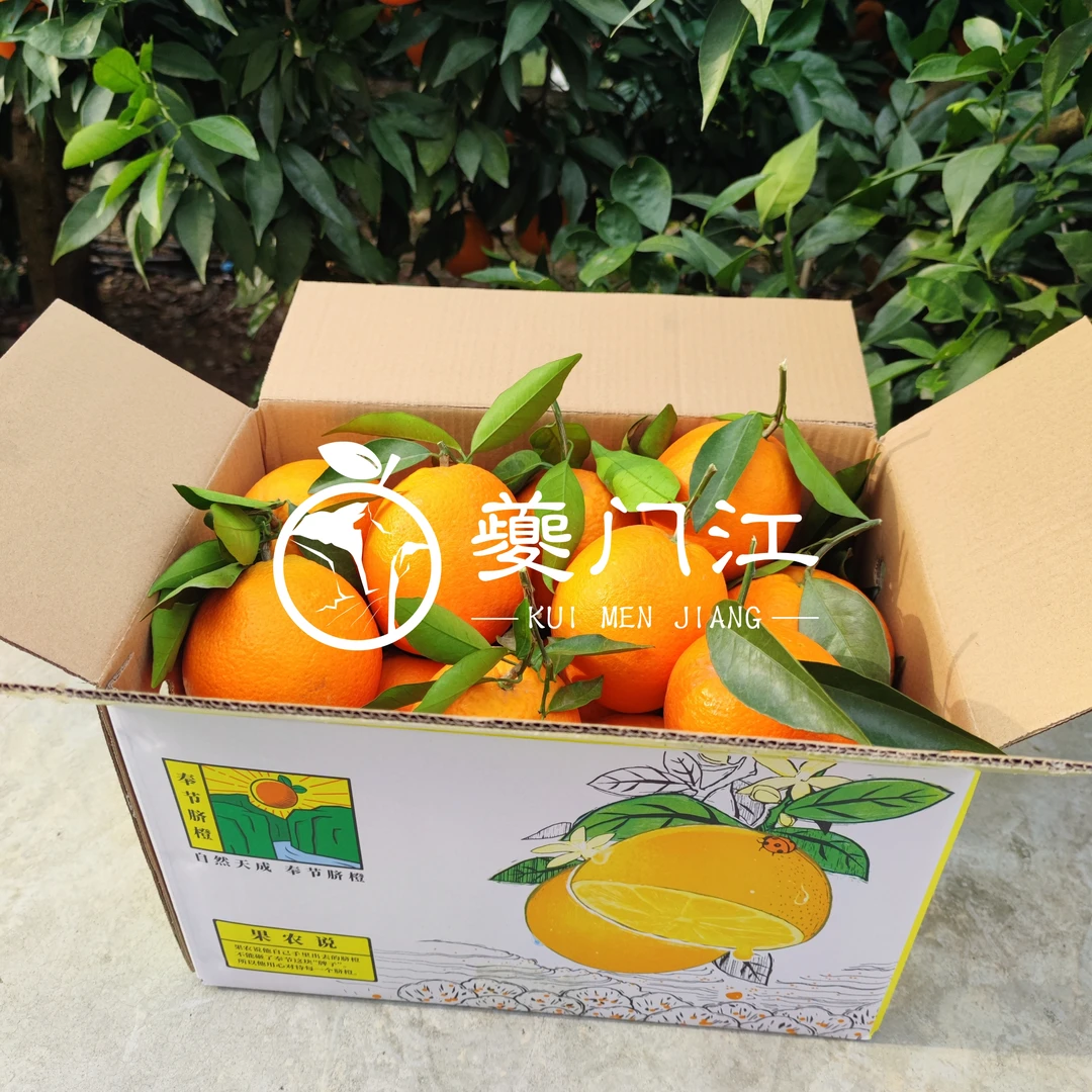 【尚品装】正宗奉节脐橙特大果20斤正宗新鲜采摘（坏果必赔）包邮