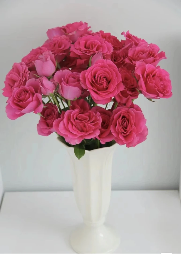 【单头玫瑰】10支弗洛伊德，任意两单发顺丰冷链或中通空运