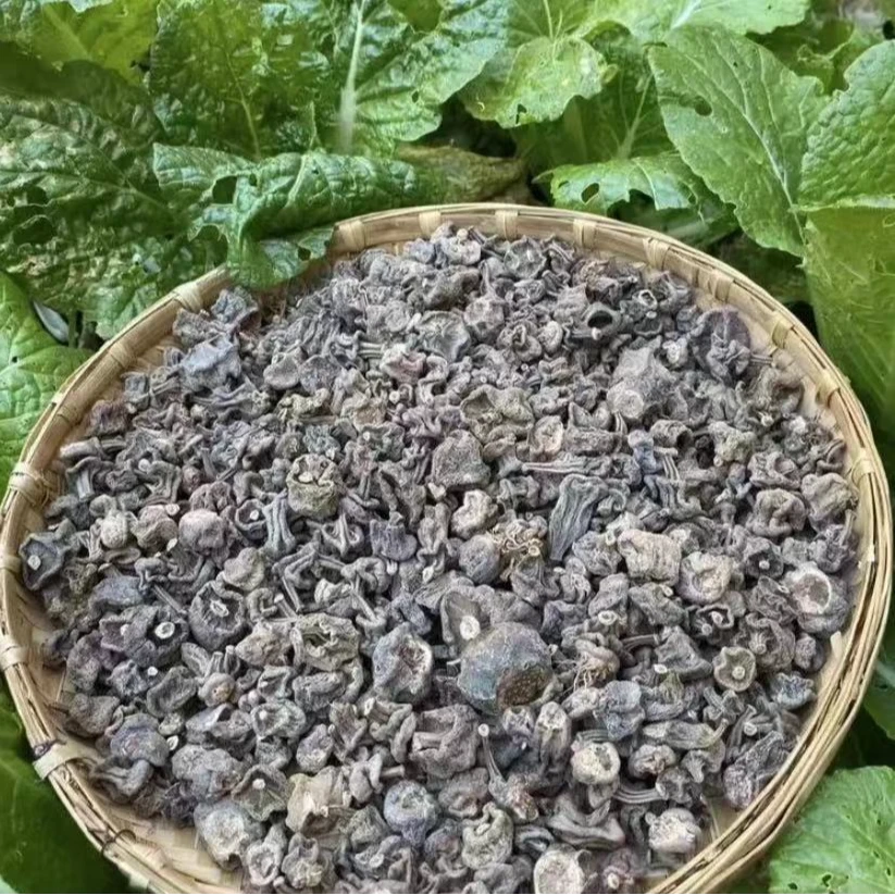 【主播推荐】石斛参  1 可搭配枸杞