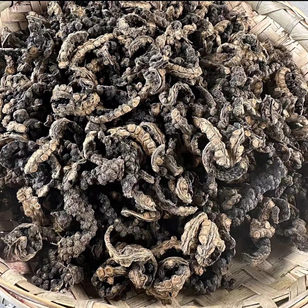 【主播推荐】消溜藤  1   可搭配枸杞